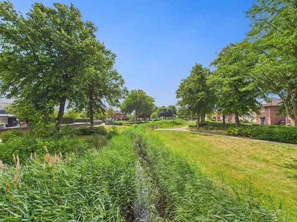 Medium property photo - Alberdingk Thijmstraat 45, 4532 CZ Terneuzen